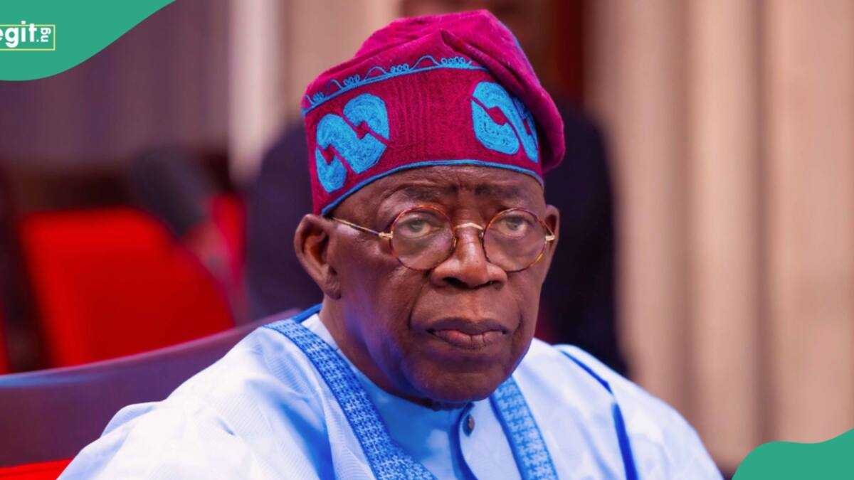 Analyst Claims Tinubu's Policy Record Boosts 2027 Reelection Bid