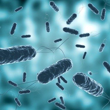 Illustration of cholera bacteria
