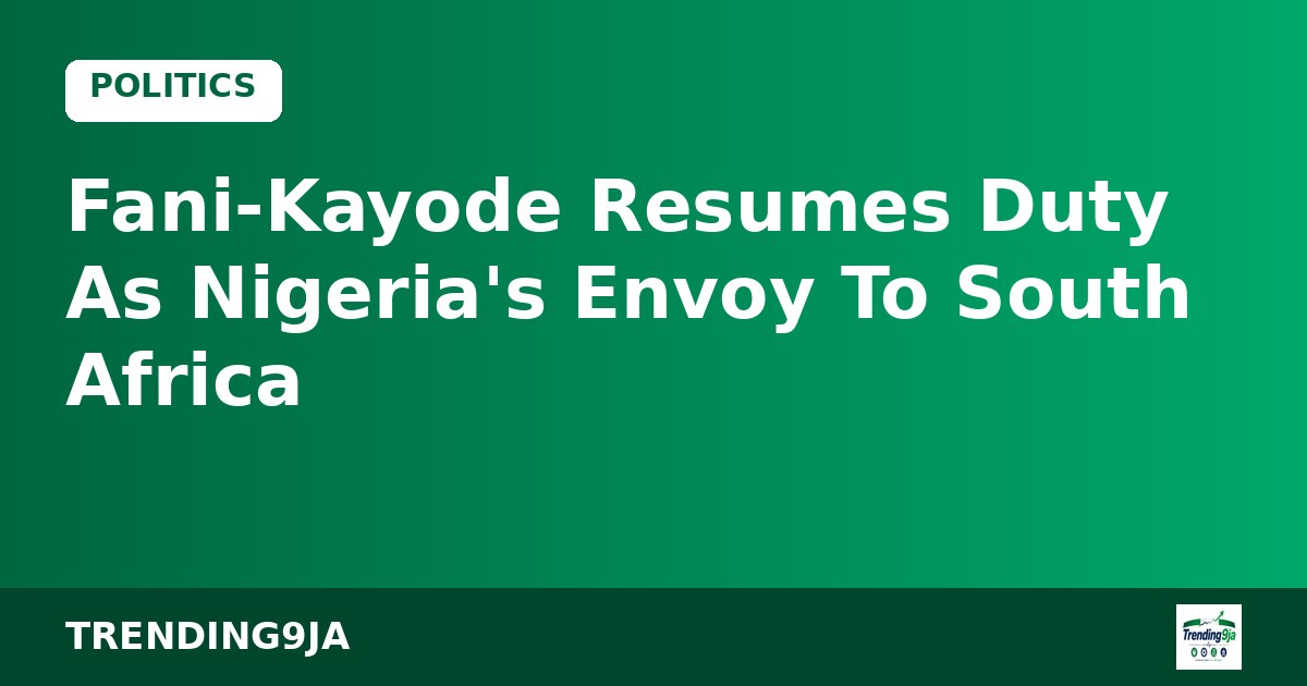 Fani-Kayode Resumes Duty As Nigeria's Envoy To South Africa